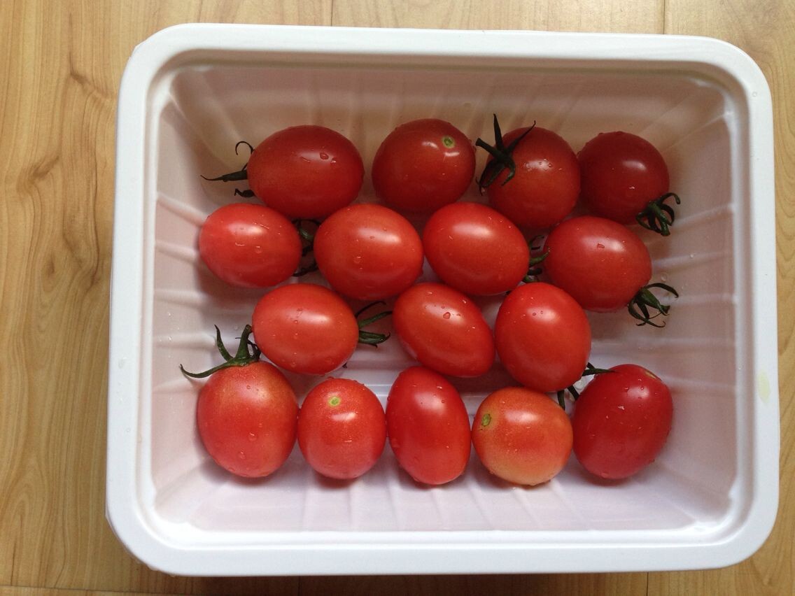 一次性食品盒 一次性食品盒